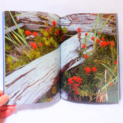 LONG BEACH, CLAYOQUOT and BEYOND...A Pictorial Book by Brian Payton (1997 1st Ed.)