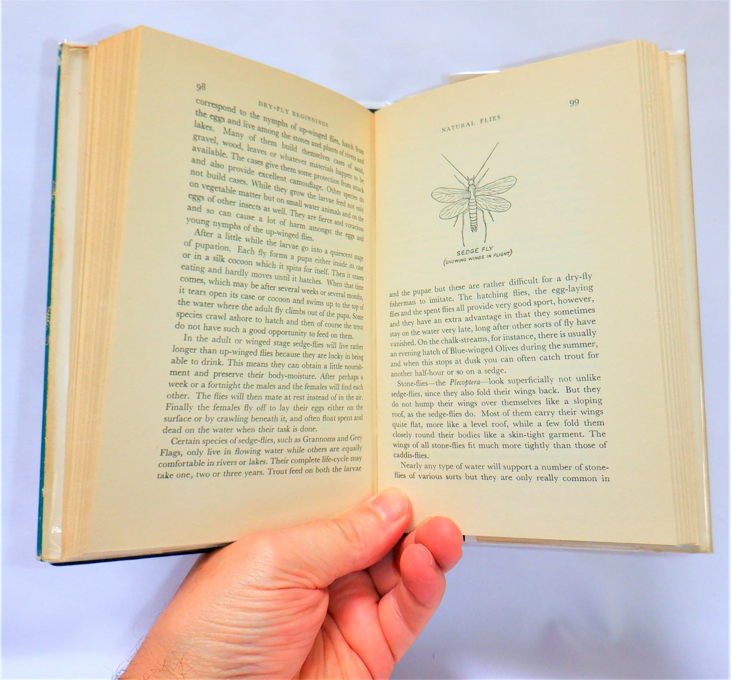 DRY-FLY BEGINNINGS, An Angling Book by Dermot Wilson (1957 1st Ed.)