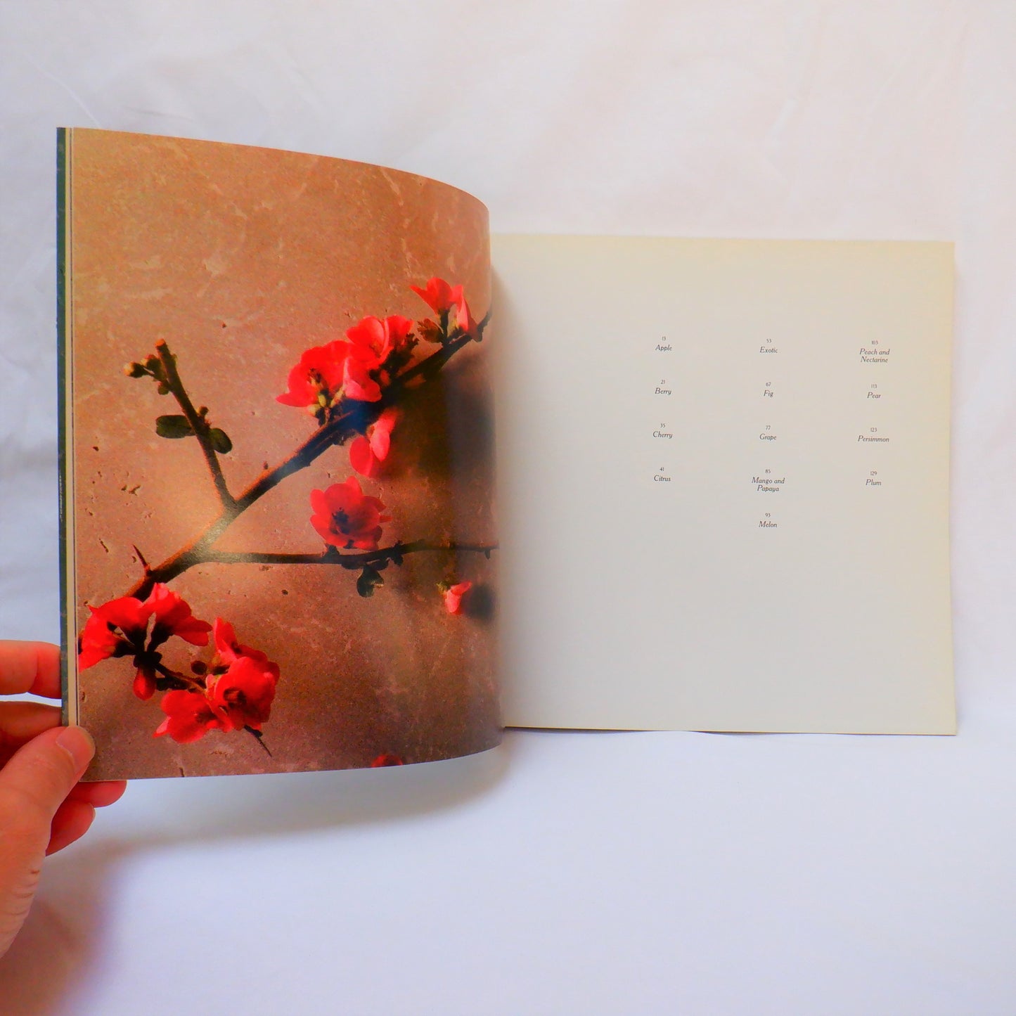 FRUIT…A Breathtaking Celebration of Nature's Bounty, by Amy Nathan &, Photos by Kathryn Kleinman (1988 1st Ed.)