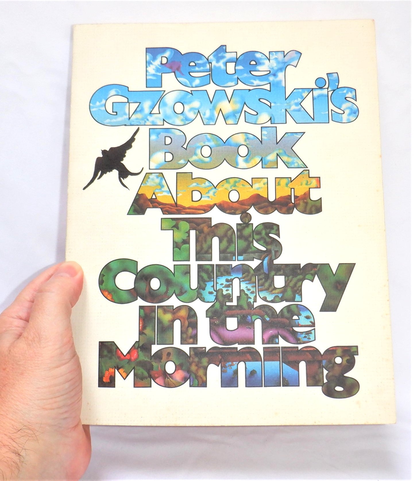 PETER GZOWSKI'S BOOK ABOUT THIS COUNTRY IN THE MORNING (2001 1st Ed.)