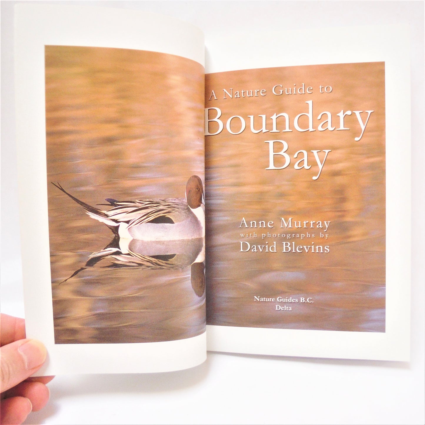 A NATURE GUIDE TO BOUNDARY BAY, by Anne Murray (1st Ed. SIGNED)