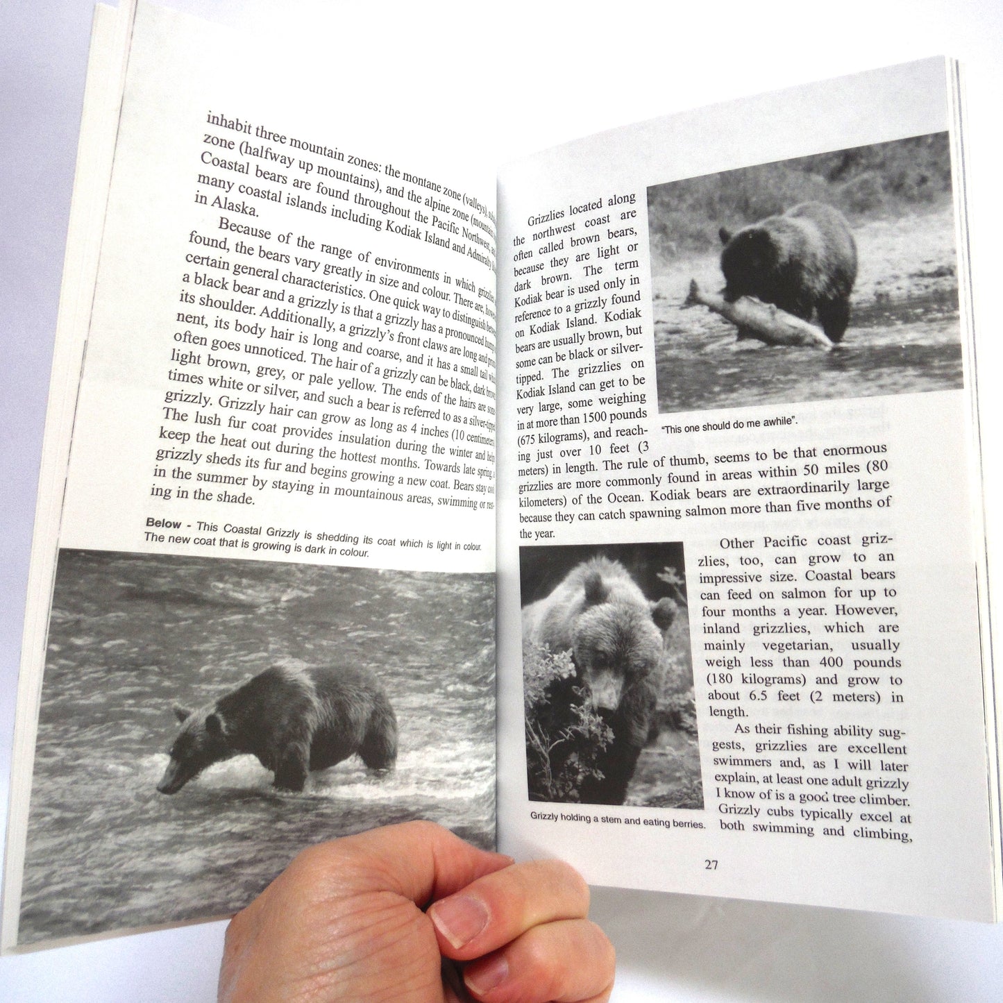 THE MAGNIFICENT BEARS OF NORTH AMERICA...and where to find them, by Keith Scott "The Bear Man" (2001 1st Ed.)