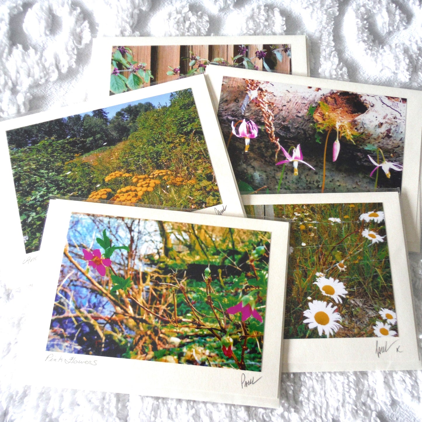 Original Art Greeting Card, Wild Flower Collection: "FOUR BY LOG"