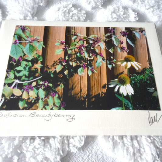 Original Art Greeting Card, Wild Flower Collection: "PROFUSION BEAUTYBERRY"