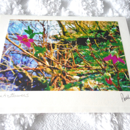 Original Art Greeting Card, Wild Flower Collection: "PINK FLOWERS"