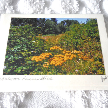 Original Art Greeting Card, Wild Flower Collection: "ANDERTON AVENUE FIELD"