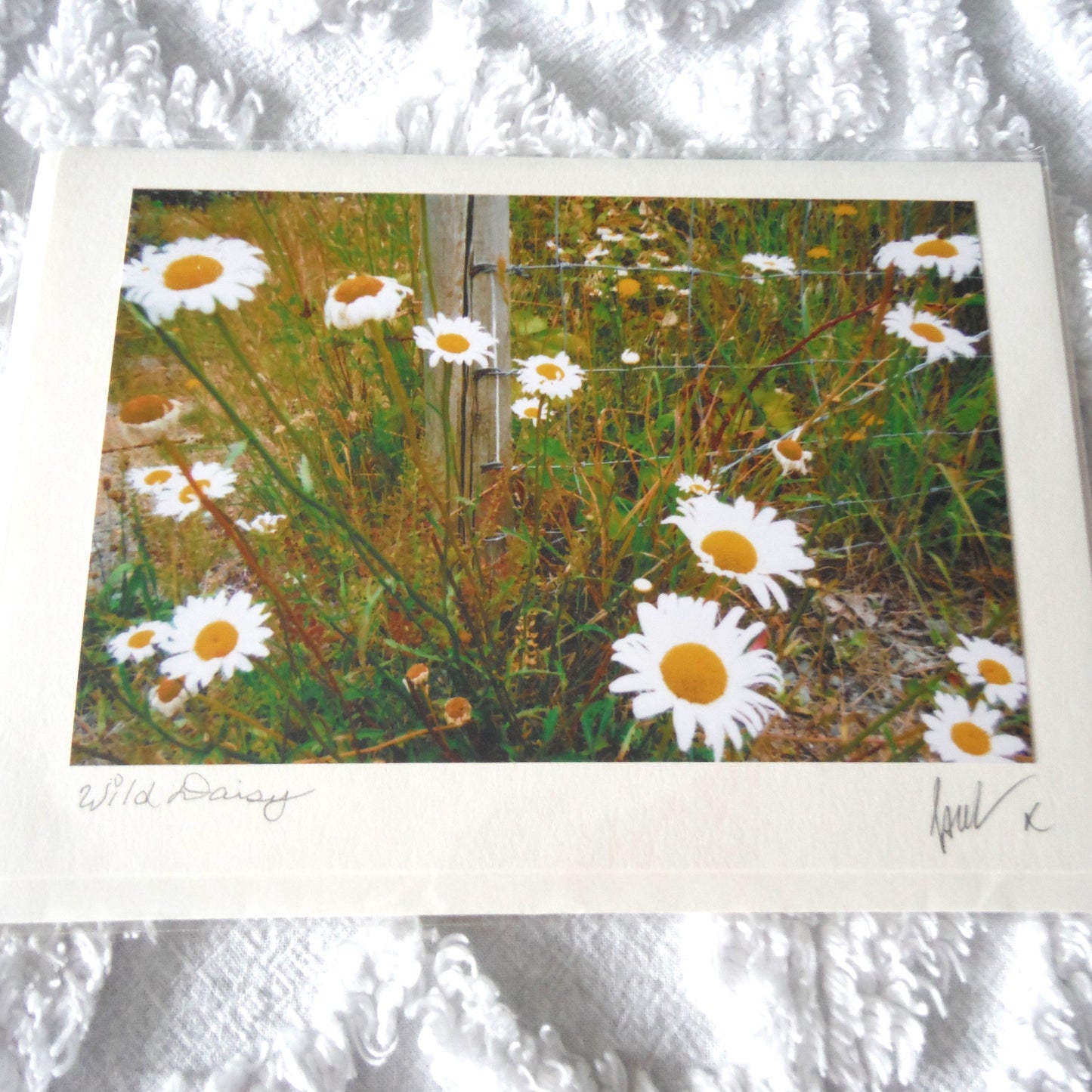 Original Art Greeting Card, Wild Flower Collection: "WILD DAISY"