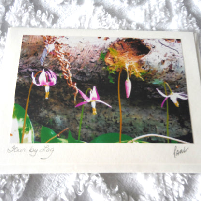 Original Art Greeting Card, Wild Flower Collection: "FOUR BY LOG"