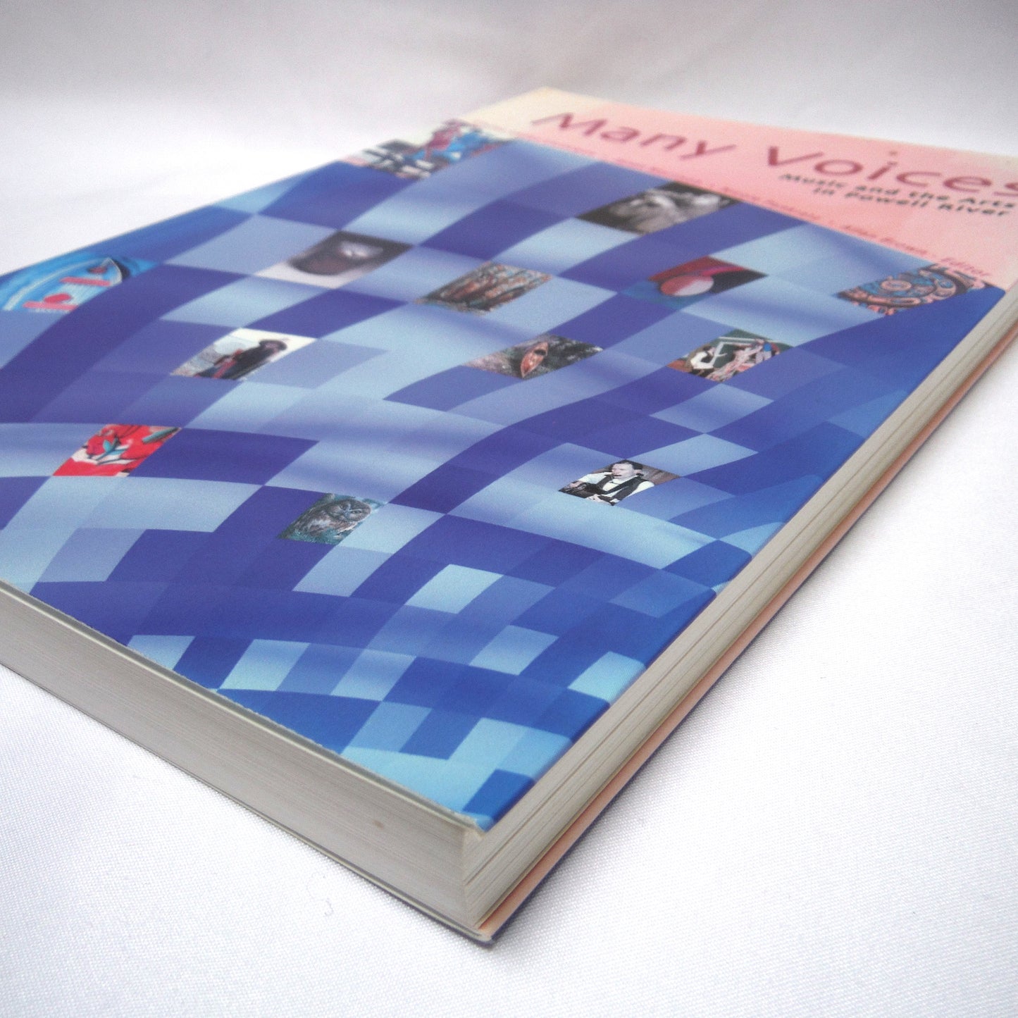 MANY VOICES, Music and the Arts in Powell River, Short Stories Edited by Allan Brown (2004 1st Ed.)