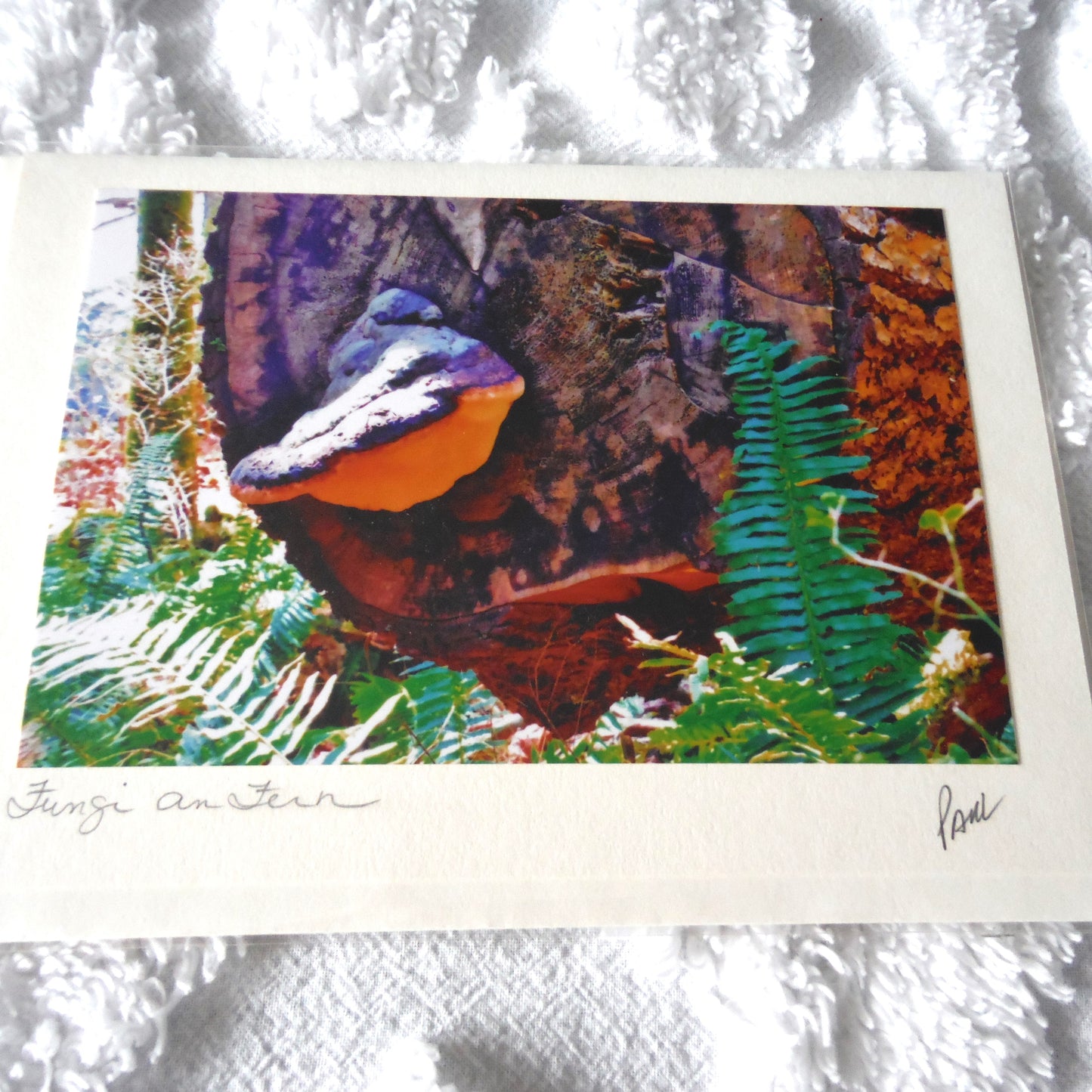 Original Art Greeting Card, Forest Floor Collection: "FUNGI & FERN"