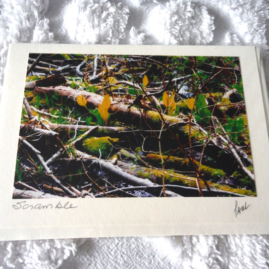 Original Art Greeting Card, Forest Floor Collection: "SCRAMBLE"