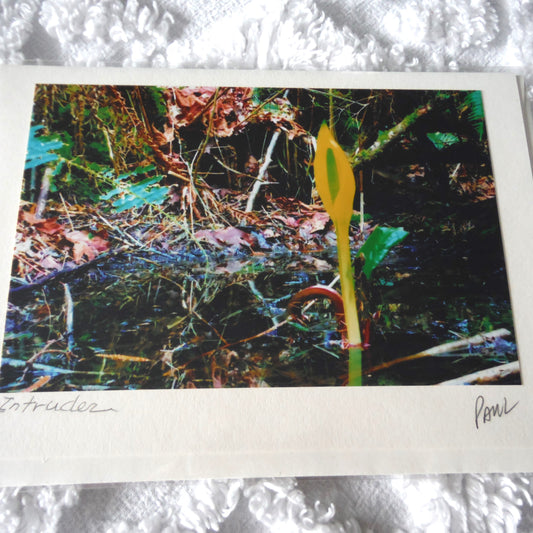 Original Art Greeting Card, Forest Floor Collection: "INTRUDER"