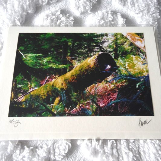 Original Art Greeting Card, Streams & Logs Collection: "LOG"