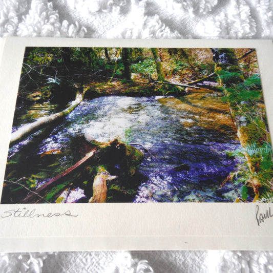 Original Art Greeting Card, Streams & Logs Collection: "STILLNESS"