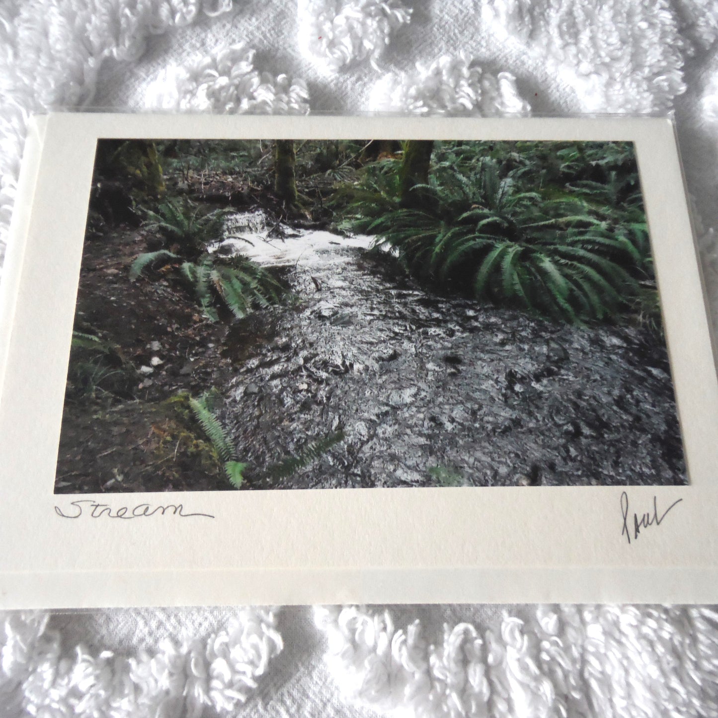 Original Art Greeting Card, Sights & Sounds Collection: "STREAM"