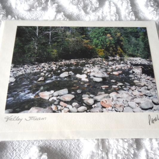 Original Art Greeting Card, Sights & Sounds Collection: "VALLEY STREAM"