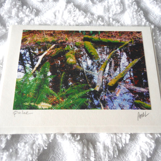 Original Art Greeting Card, Ferns & Water Collection: "QUIET"