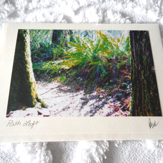 Original Art Greeting Card, Ferns & Water Collection: "PATH LEFT"