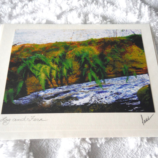 Original Art Greeting Card, Ferns & Water Collection: "LOG & FERN"