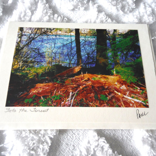 Original Art Greeting Card, Canyon Scenes Collection: "INTO THE FOREST"
