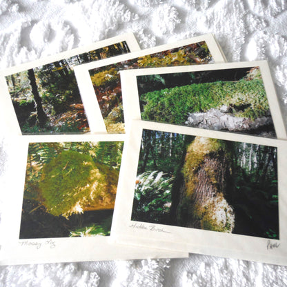 Original Art Greeting Card, Sunshine & Moss Collection: "EARLY MORNING"