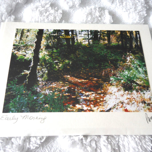 Original Art Greeting Card, Sunshine & Moss Collection: "EARLY MORNING"