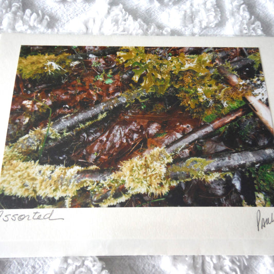 Original Art Greeting Card, Sunshine & Moss Collection: "ASSORTED"