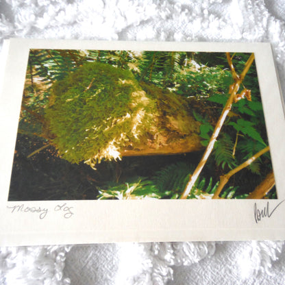 Original Art Greeting Card, Sunshine & Moss Collection: "MOSSY LOG"