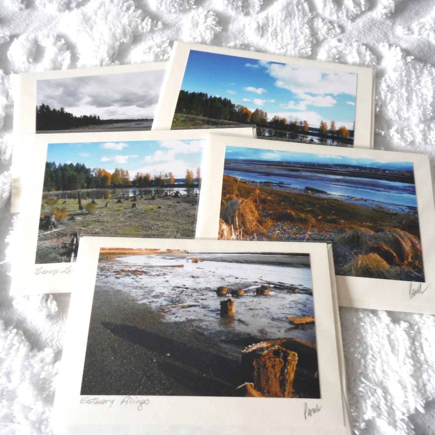 Original Art Greeting Card, Low Tide Collection: "ESTUARY PILINGS"