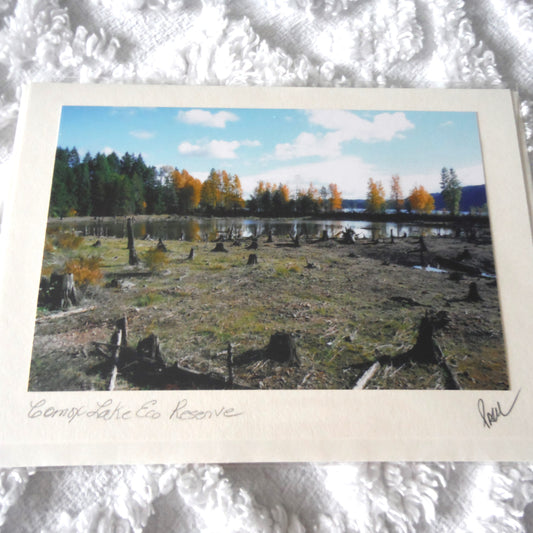 Original Art Greeting Card, Low Tide Collection: "COMOX LAKE ECO RESERVE"