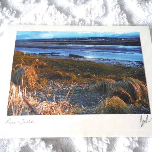 Original Art Greeting Card, Low Tide Collection: "LOW TIDE"