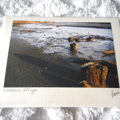 Original Art Greeting Card, Low Tide Collection: "ESTUARY PILINGS"