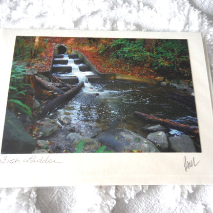 Original Art Greeting Card, River Dreams Collection: "FISH LADDER"