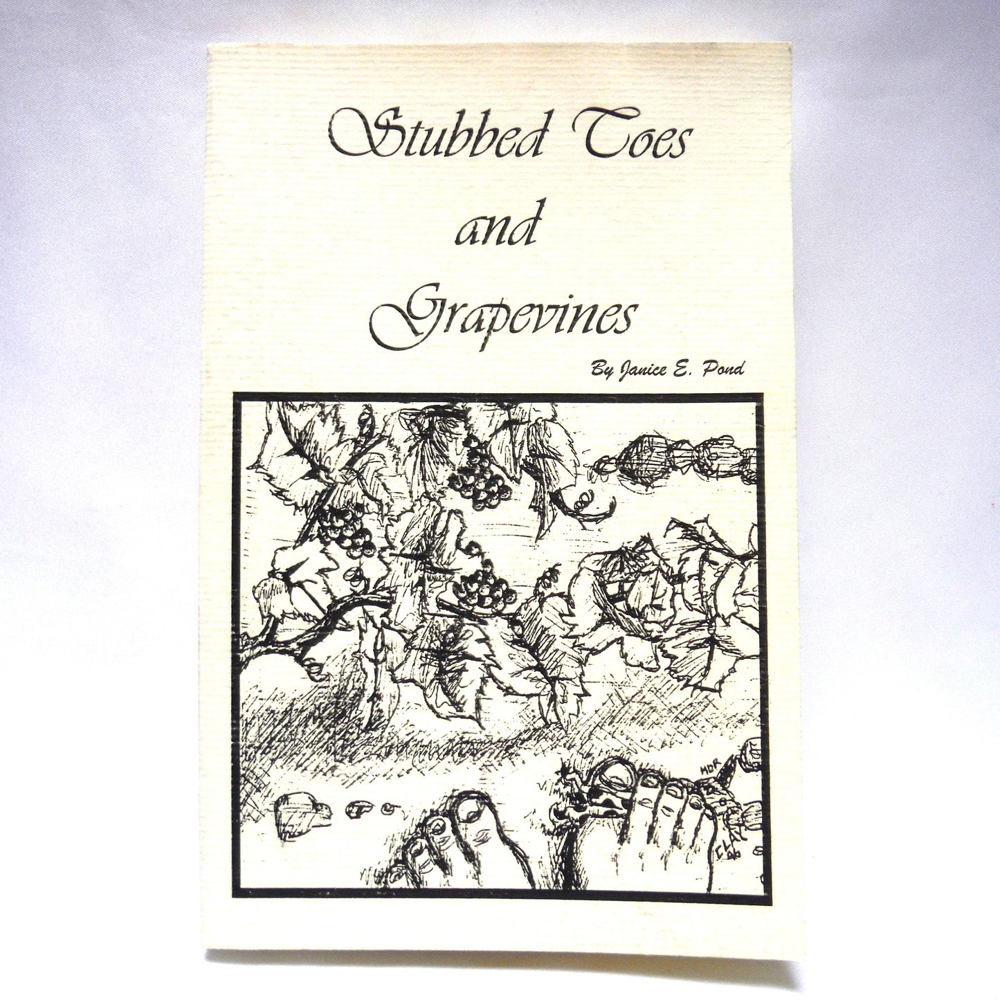 STUBBED TOES AND GRAPEVINES, A Collection of Short Stories, by Janice E. Pond (1996 1st Ed.)