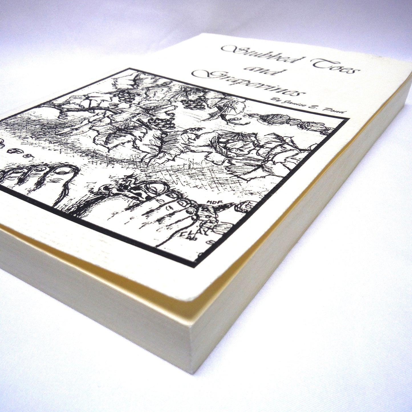 STUBBED TOES AND GRAPEVINES, A Collection of Short Stories, by Janice E. Pond (1996 1st Ed.)