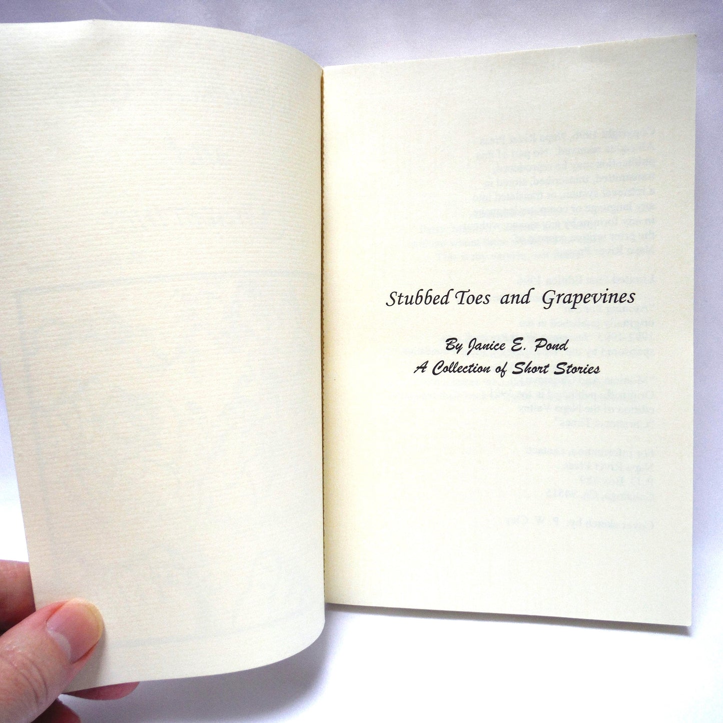 STUBBED TOES AND GRAPEVINES, A Collection of Short Stories, by Janice E. Pond (1996 1st Ed.)