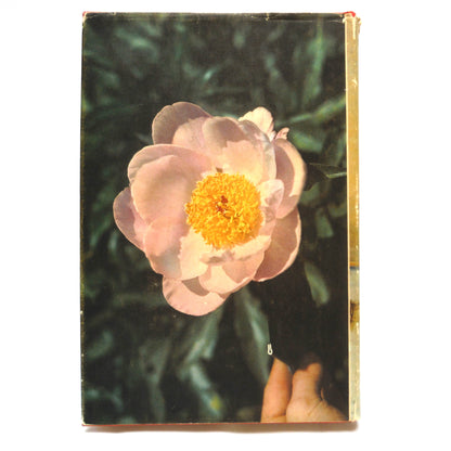 CHINOOK ARCH, A Centennial Anthology of Alberta Writing, Edited by John Patrick Gillese, (1968 2nd Ed.)