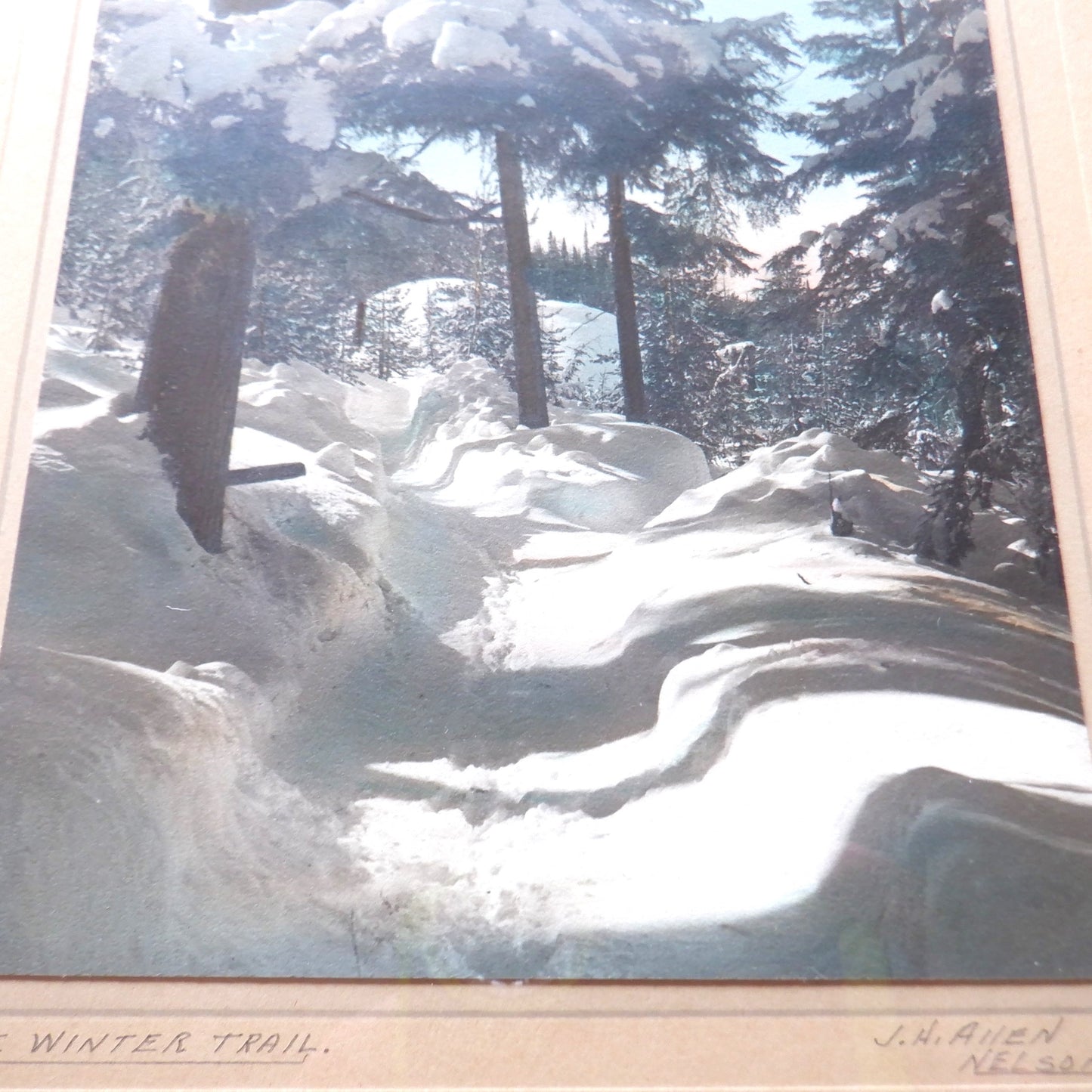 'THE WINTER TRAIL', A Hand-Tinted Black & White Photograph by J.H. Allen of Nelson B.C.