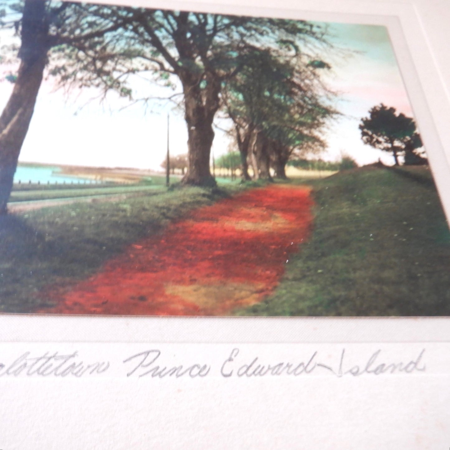 'VICTORIA PARK', Charlottetown, Prince Edward Island Vintage Hand-Tinted Photograph by Oliver Cleveland Craswell