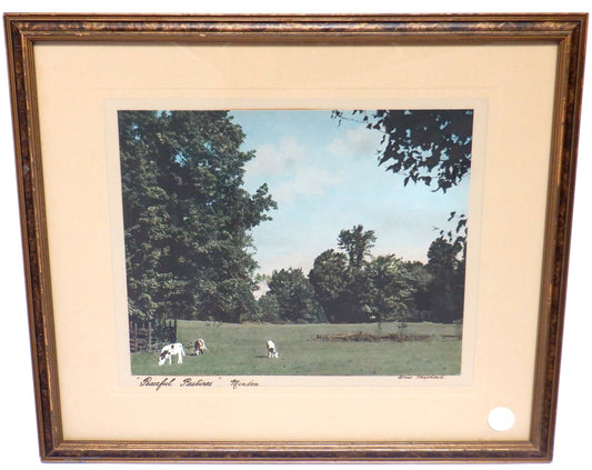 Antique Hand-Tinted Photograph of Minden, Ontario, by Anne Shepherd: 'PEACEFUL PASTURES'