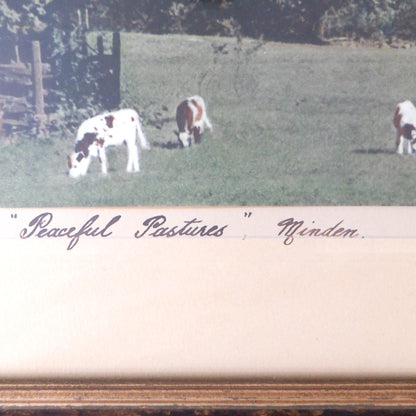 Antique Hand-Tinted Photograph of Minden, Ontario, by Anne Shepherd: 'PEACEFUL PASTURES'