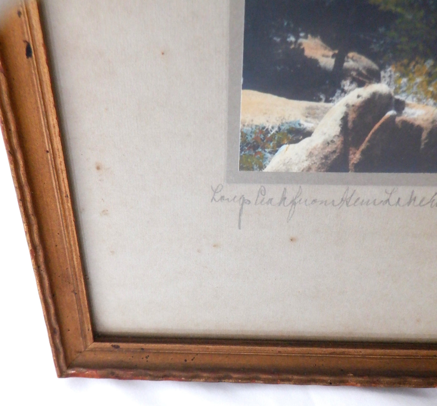 Antique Hand-Tinted Photograph by H. L. STANDLEY: "Longs Peak from Gem Lake Crater Park Colorado"