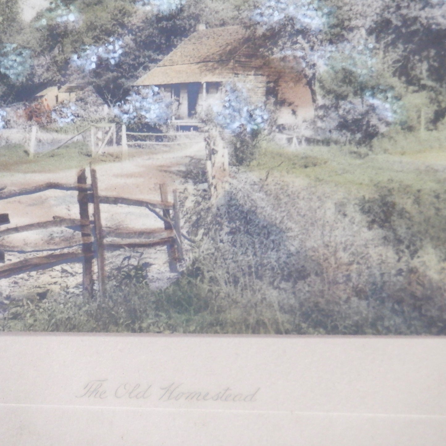 Vintage Hand-Tinted Framed Photograph by Gibson: 'THE OLD HOMESTEAD'