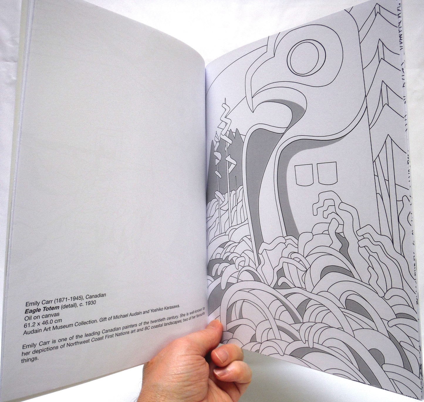 COLOURING BOOK FROM THE AUDAIN ART MUSEUM, Whistler, British Columbia, Illustrations by Mathias Horne