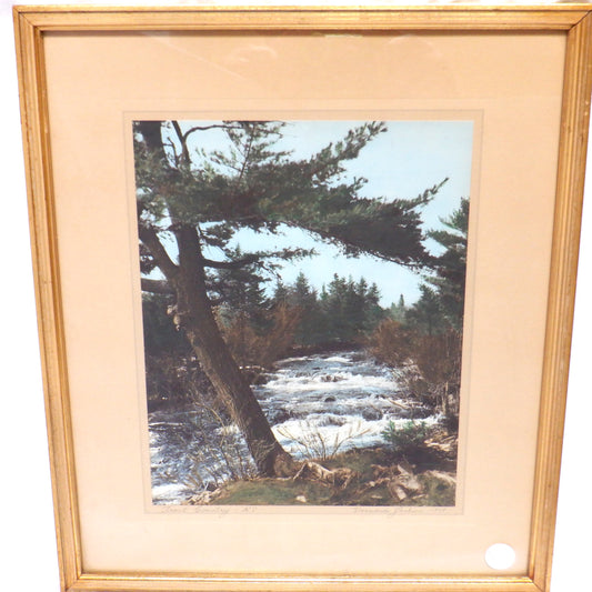 Vintage Hand-Tinted Photograph by Vernand Jackson: 'TROUT COUNTRY, NOVA SCOTIA'