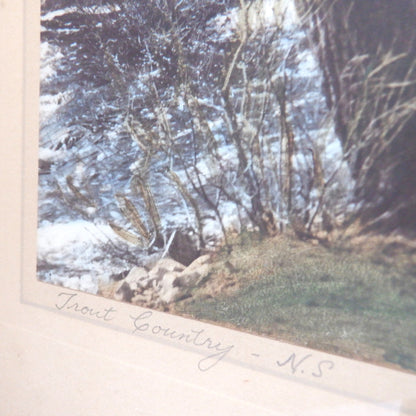 Vintage Hand-Tinted Photograph by Vernand Jackson: 'TROUT COUNTRY, NOVA SCOTIA'