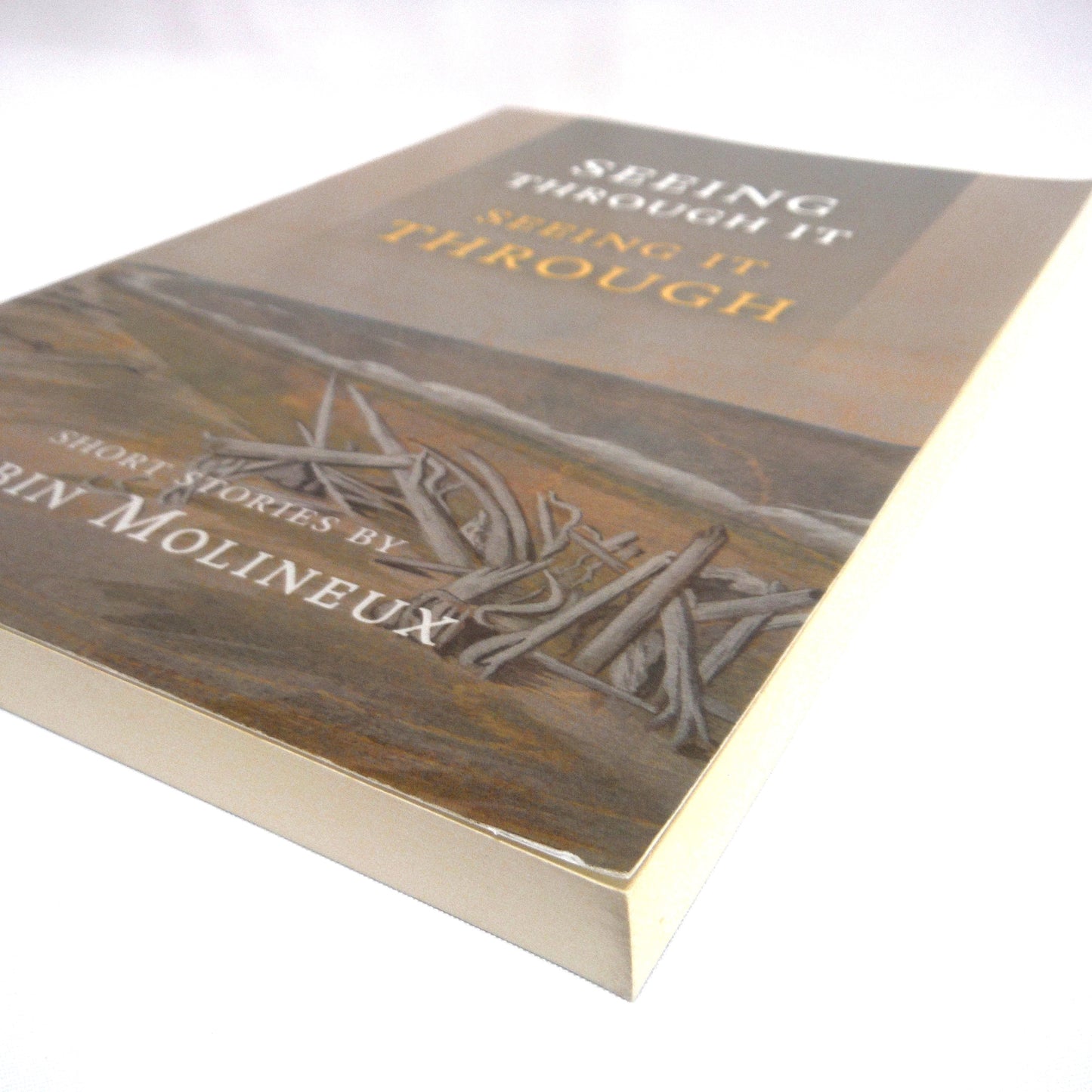 SEEING THROUGH IT, SEEING IT THROUGH, Short Stories by Robin Molineux (1st Ed. SIGNED)