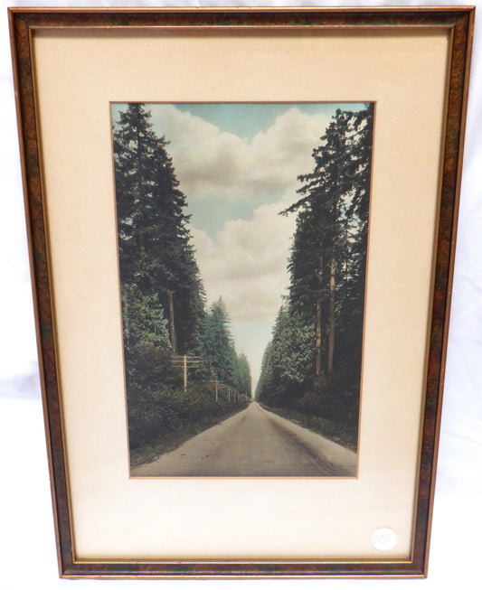 'TELEGRAPH ROAD', An Antique Hand-Tinted Photograph from New Westminster, British Columbia, Canada