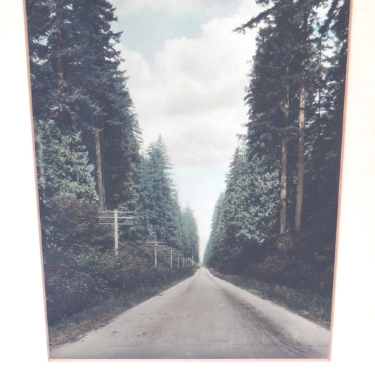 'TELEGRAPH ROAD', An Antique Hand-Tinted Photograph from New Westminster, British Columbia, Canada