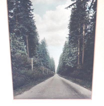 'TELEGRAPH ROAD', An Antique Hand-Tinted Photograph from New Westminster, British Columbia, Canada